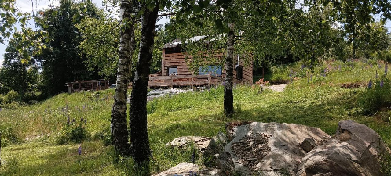 Enklawa W Porebie Dlugopole-Zdroj Exterior photo